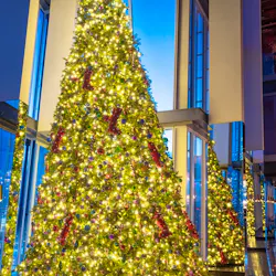 All Artificial Christmas Trees by Christmas Tree World.